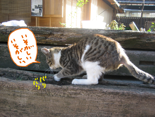 【サラリーマンの平均休日ってどれくらいあるの?】 【サラリーマンの平均休日ってどれくらいあるの?】