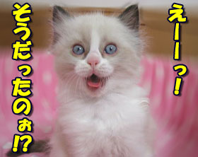 【時間間違えた。】 【時間間違えた。】