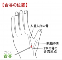 【合谷】 【合谷】